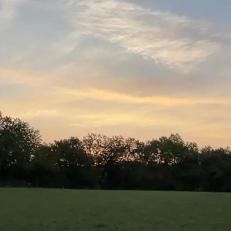 D'angele Saint-Chamarand