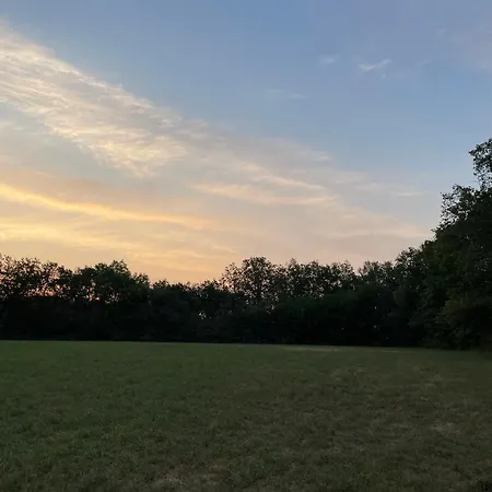 D'angele * Saint-Chamarand