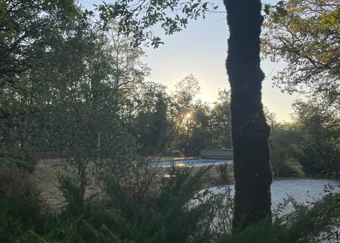 D'angele * Saint-Chamarand